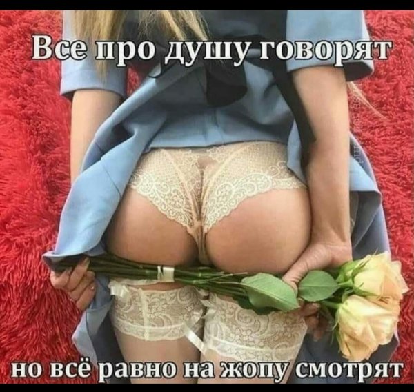picture_263064415
