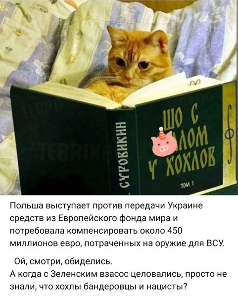 IMG 20260611 125503