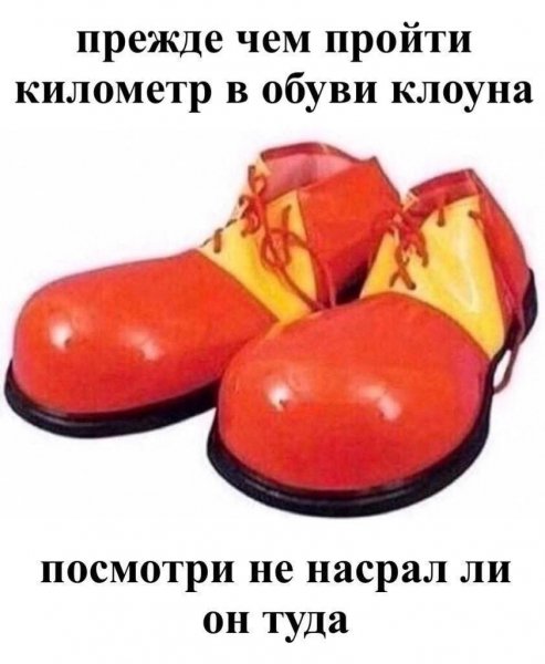 IMG 20260912 132620 803