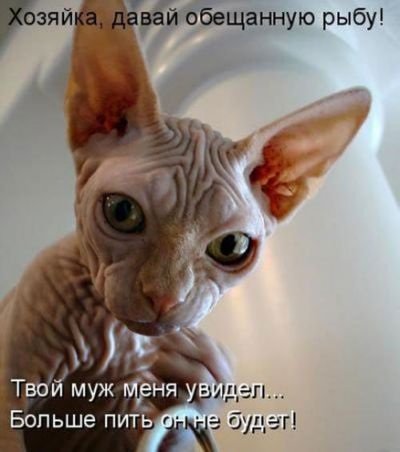 15 image