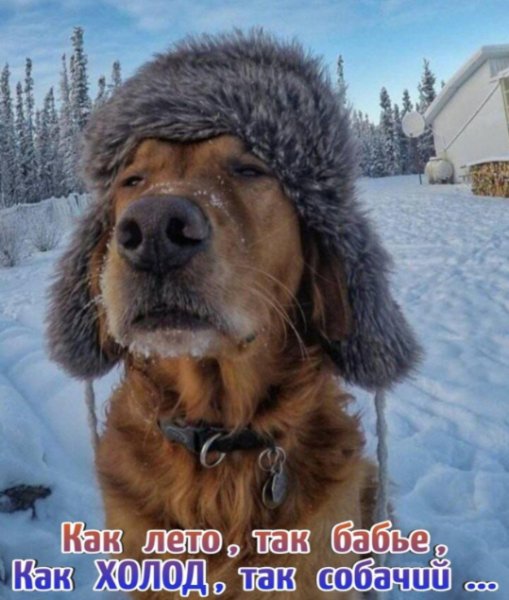 IMG 20240129 090315