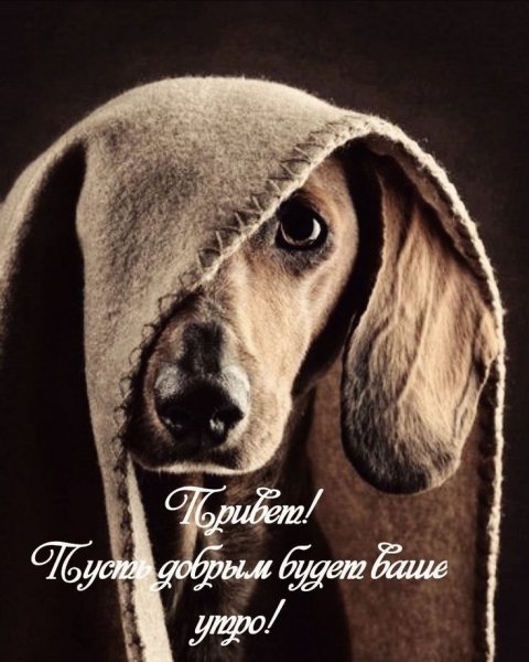 Привет!