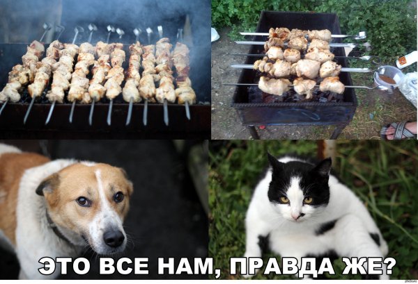 Правда же?