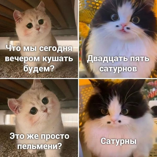 IMG 20260905 113544 600