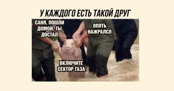 Юмор