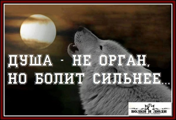 IMG 20181021 111137