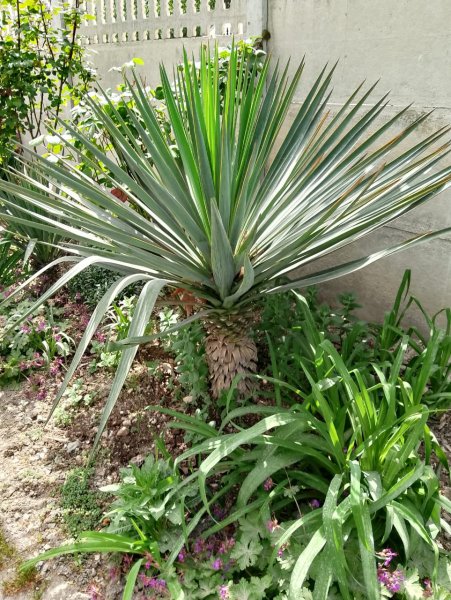 IMG-20240426-WA0000