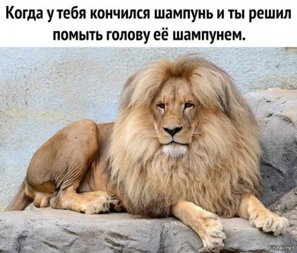 ))