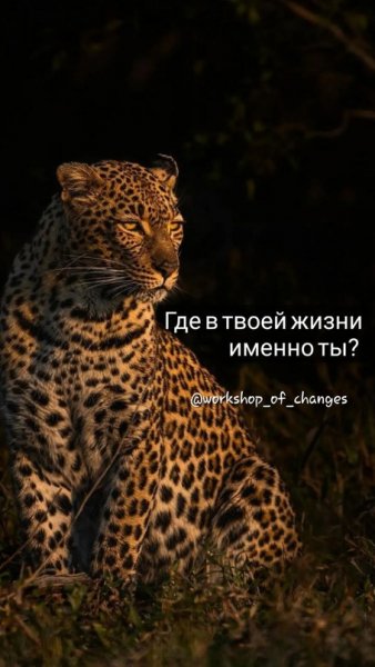 LnmB2uOzKHw