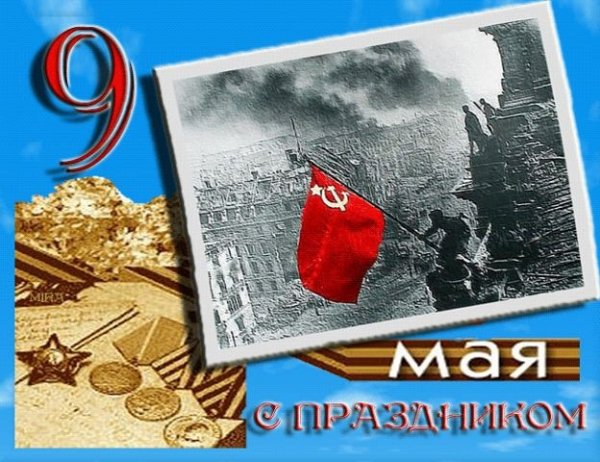 9 MAJA-
