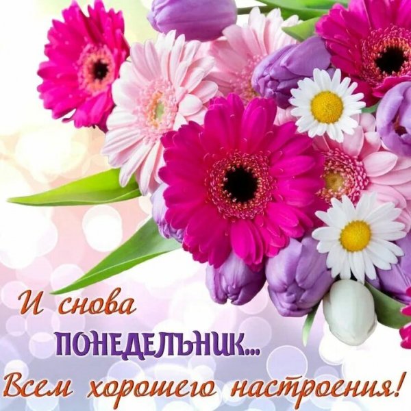 Друзья мои!
