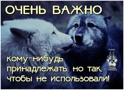image (2)