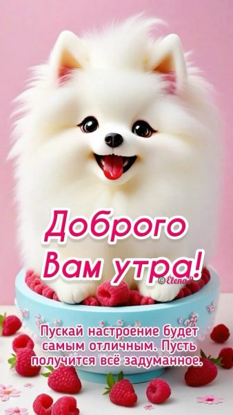 Всем вам!
