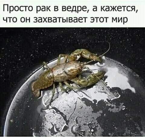FB IMG 1594032926354