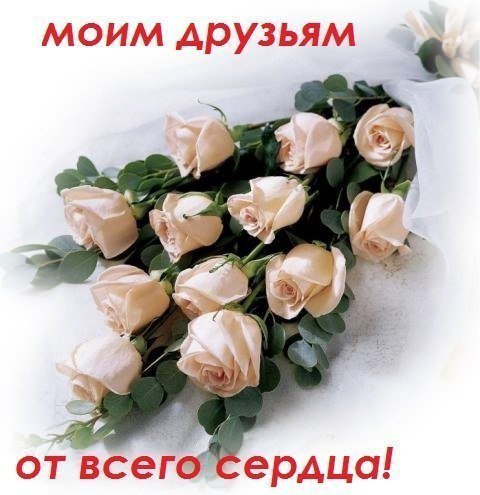 Добрый день!