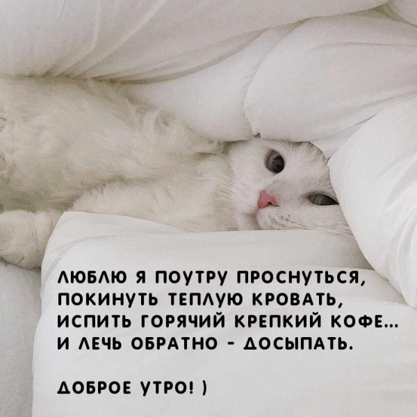 IMG-20250311-WA0011
