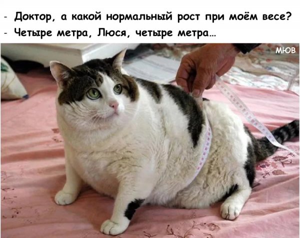 f.1200.1200.0