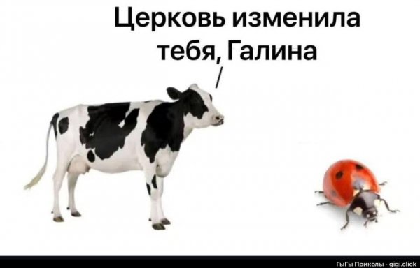 picture_399666759