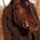 ОПЕРА 5 рус