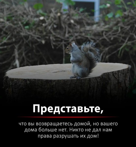 Screenshot 2021-12-06-16-24-11-152