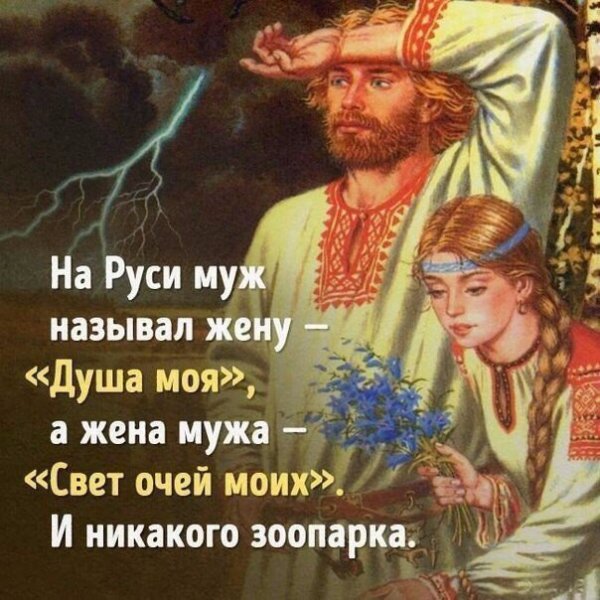 PGQmx0y7Avk