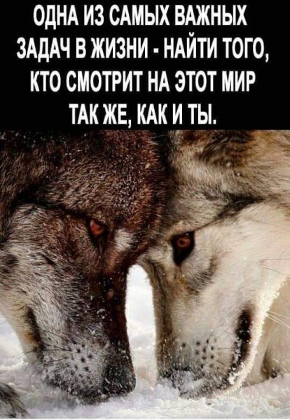 FB IMG 1593589242655