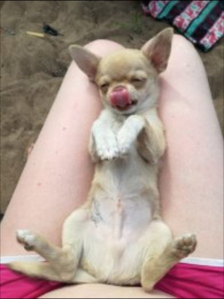 IMG 20250813 111513
