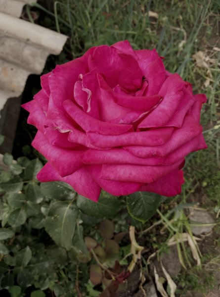 P40604-112233