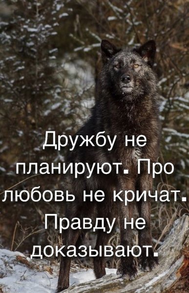 IMG 20190702 175355 510