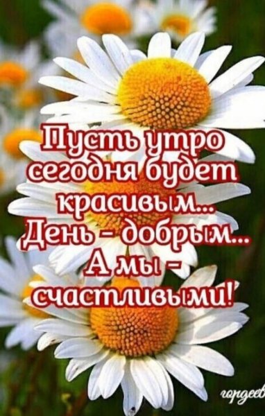 Доброе утро!