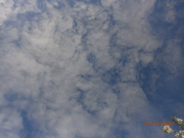 P4290007