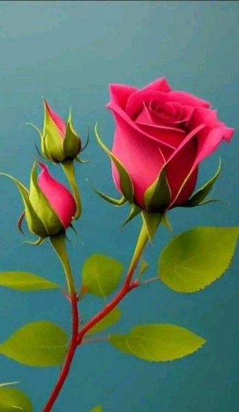 6a0a388b62f8bd7cfb76c0fca5df69db