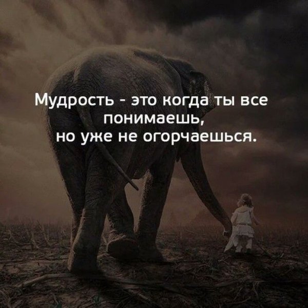 Мудрость...