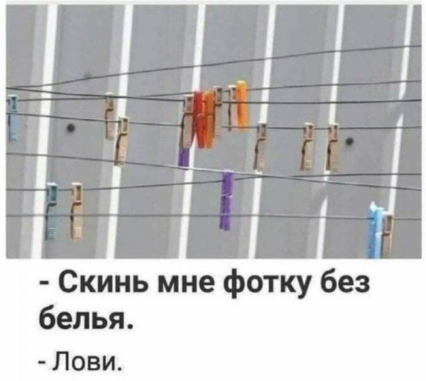IMG 20260720 163429 406