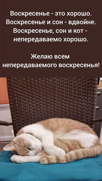 Воскресенье