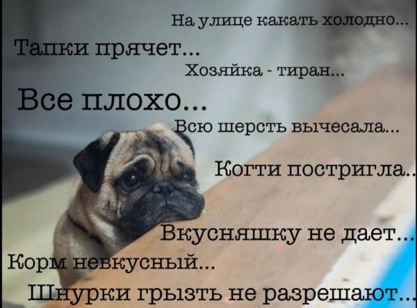 Печалька