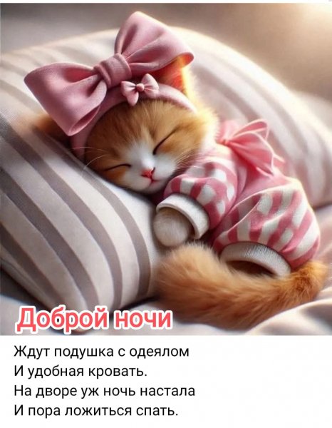 Aa1b02340fd6403290e72457699c3512