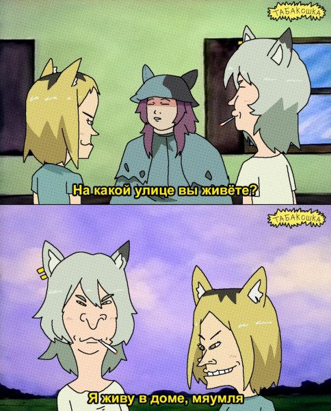 Yani-Neko-Anime-фэндомы-9460611
