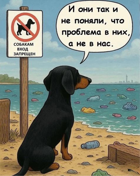 А говорят собаки виноваты