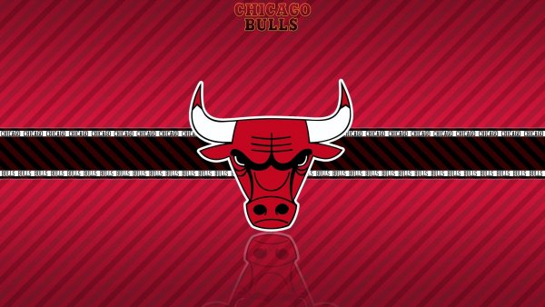 Chicago Bulls