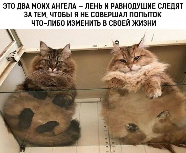 IMG 20260616 101051 990