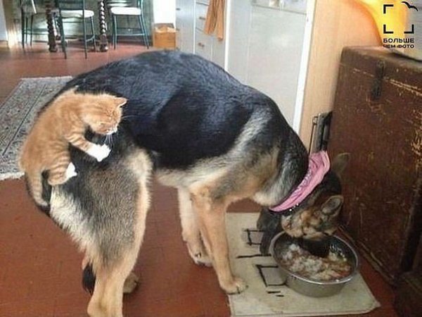 Прокачусь