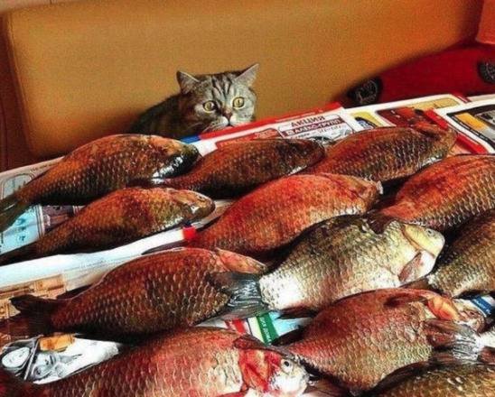 Васенька! Нельзя так долго не моргать