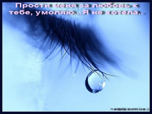 Прости меня за любовь к тебе
