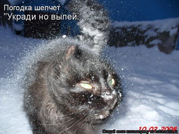 Погодка шепчет...