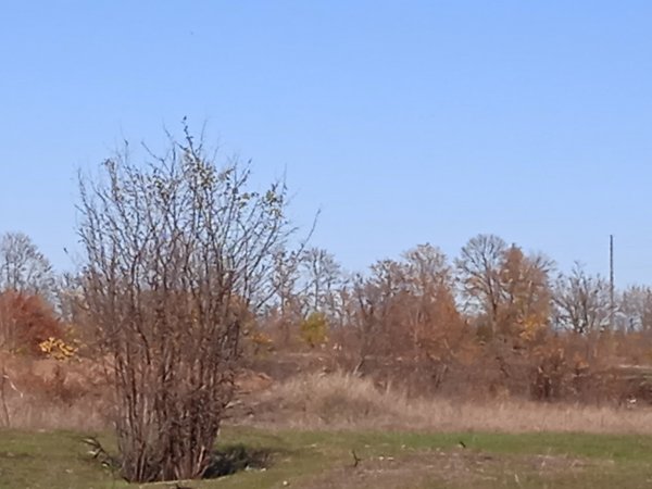 IMG 20251031 114719