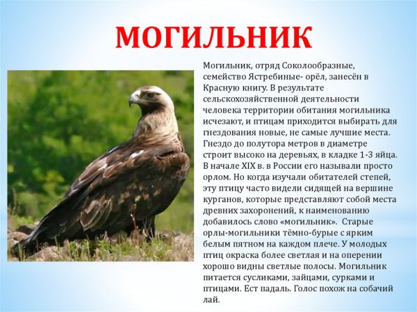 Могильник