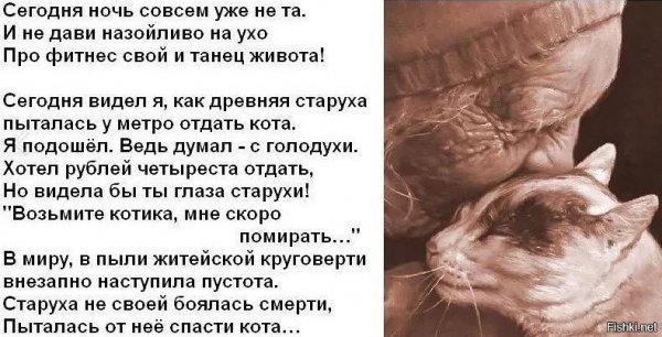 стих