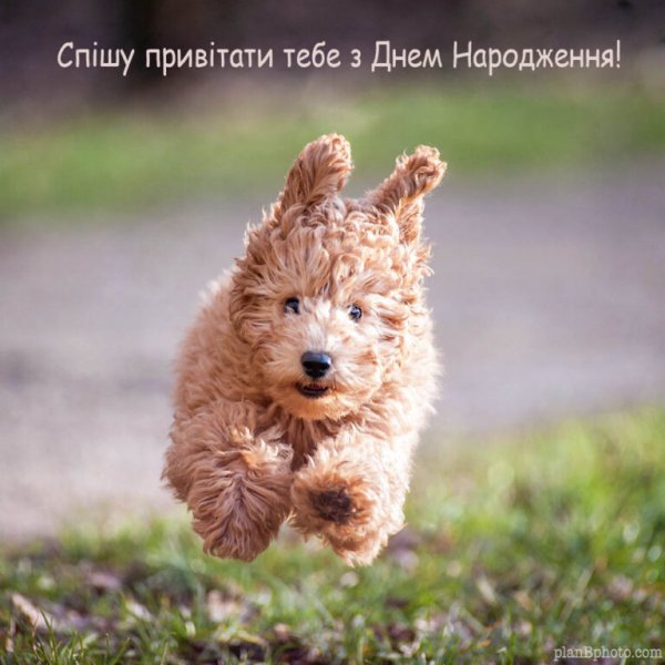 Spishu-Pryvitaty-768x768