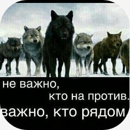 getImage(130)